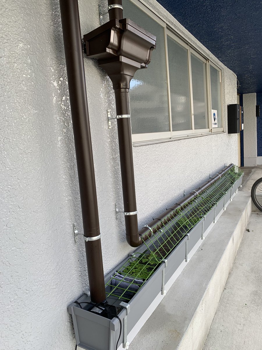 ケロリウム 会社で雨樋で水槽作ったら 通学中の小学生が見てくれてる T Co Sog9kcc7wl Twitter ケロリウム 会社で雨樋で水槽作ったら 通学中の小学生が見てくれてる T Co Sog9kcc7wl Twitter