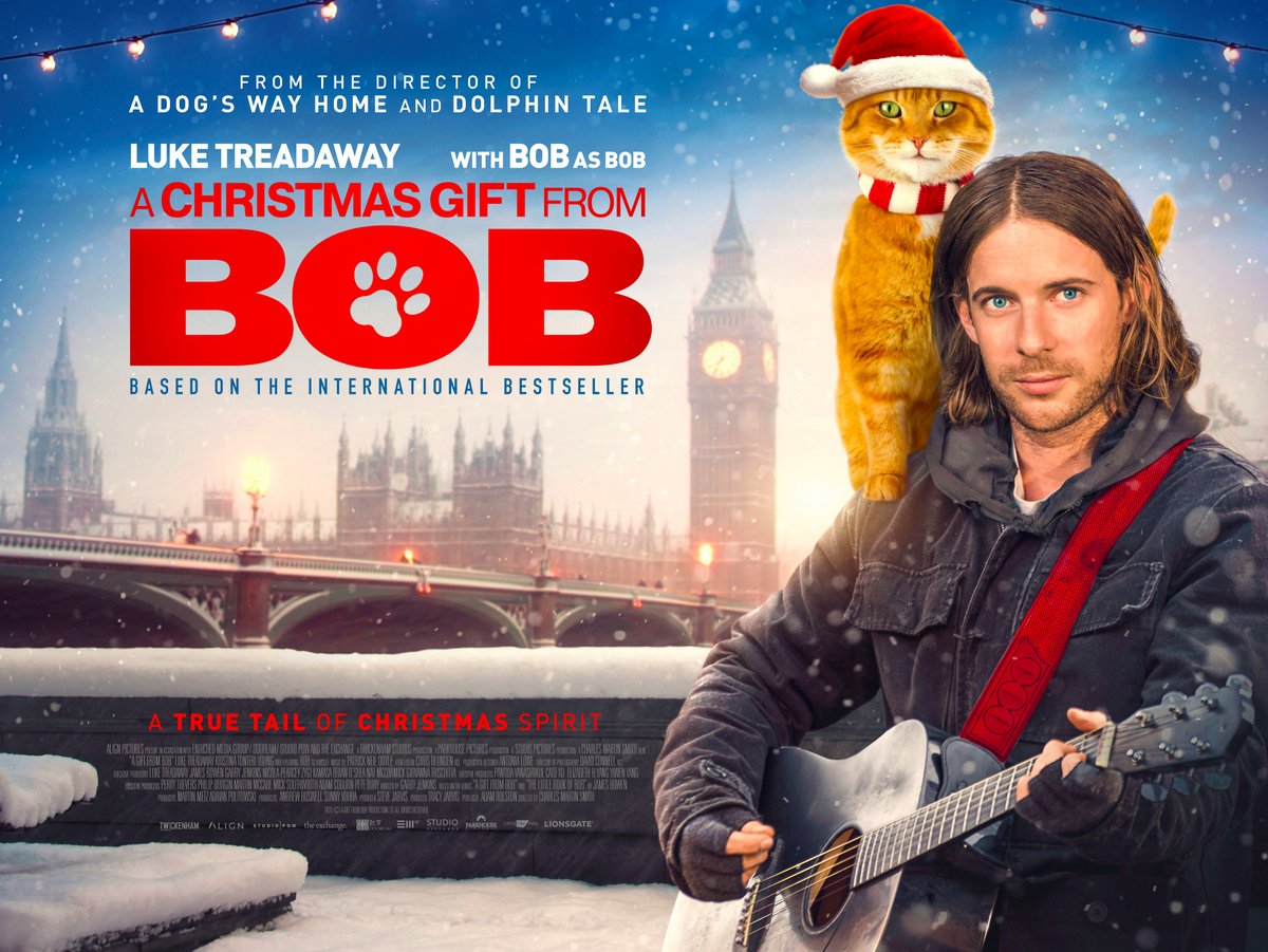 StreetCatBob's tweet photo. Inspired by a true tail and packed with Christmas spirit comes #AChristmasGiftFromBob. Available to rent and in cinemas this festive season. https://t.co/LsmUwZc3Zx