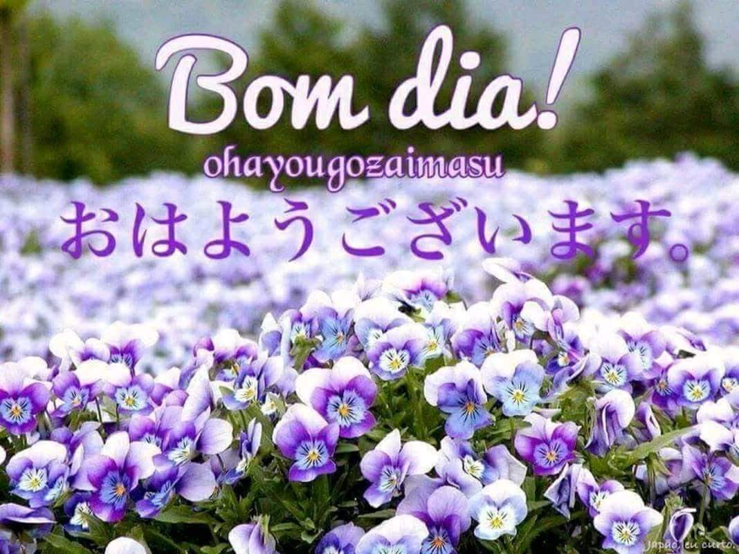 Enos Mendes on Twitter: Enos Mendes on Twitter: