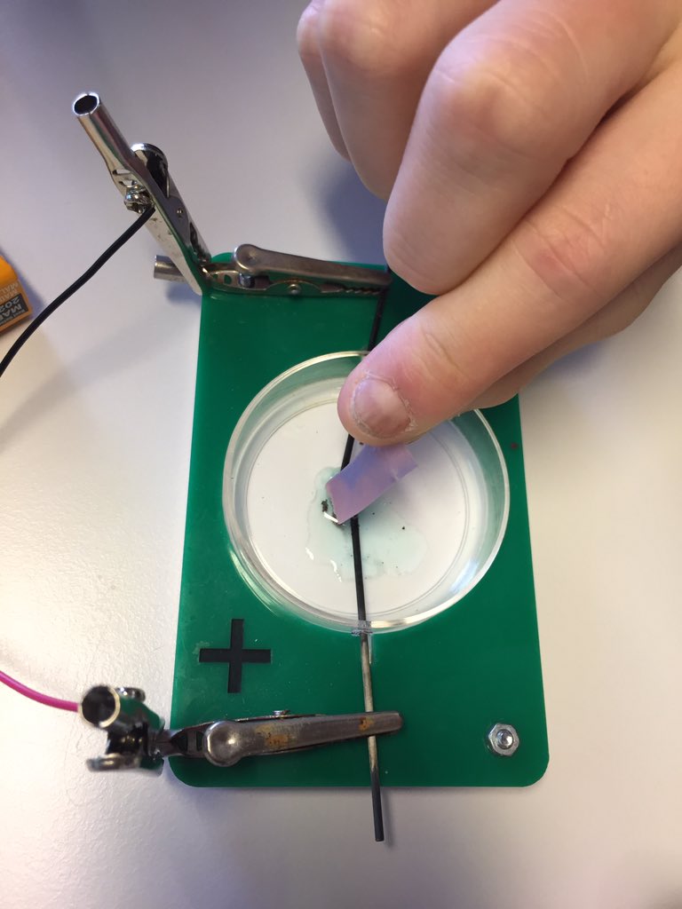 Testing for chlorine gas during a microscale electrolysis. Some lovely copper dendrites formed too. #onetraychem