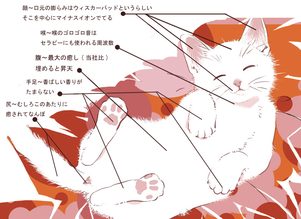 Yazaわん 猫の舌からマイナスイオンが出ていると呟いたのですが他の部位からも出ていると強く思ったので イラスト 猫 マイナスイオン Yazaわん 猫の舌からマイナスイオンが出ていると呟いたのですが他の部位からも出ていると強く思ったので イラスト 猫 マイナスイオン