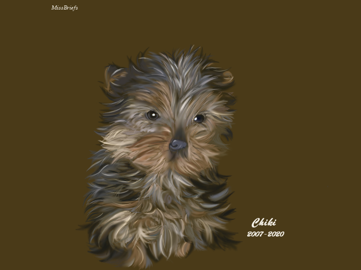 MissBriefs99's tweet photo. Two days ago I found out my precious little boy left this world. I made this for you and I hope I can find someone as special and who loves me as much as you did. Thank you for all these years, I love you ❤️ https://t.co/AAUkLYdMzn