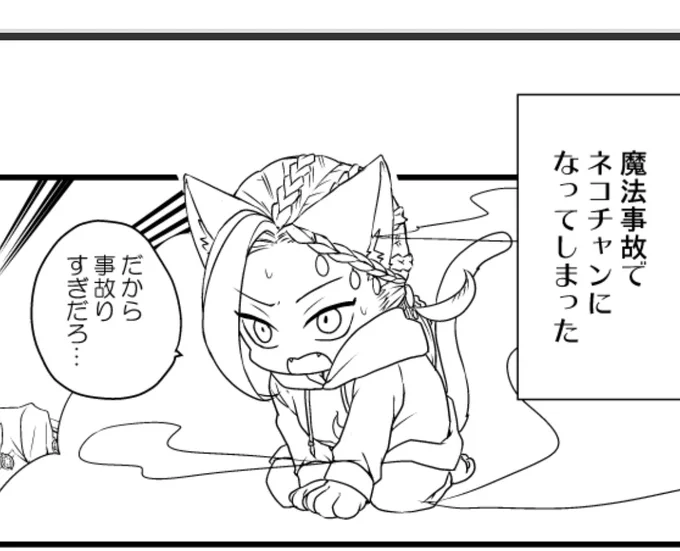 もはや当初の目的を忘れてやっぱりネコチャンがいい～ってなってたからね。ワンワン頑張ろうね。 