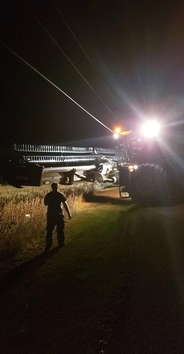 brandonjpetty's tweet photo. More soybean #harvest20 and hauling fertilizer for fall #striptill20 Run fall strips on the flatter fields then hit the more rolling ground in the spring. Well over half done with bean harvest. Great progress! https://t.co/cAj23P5XUf