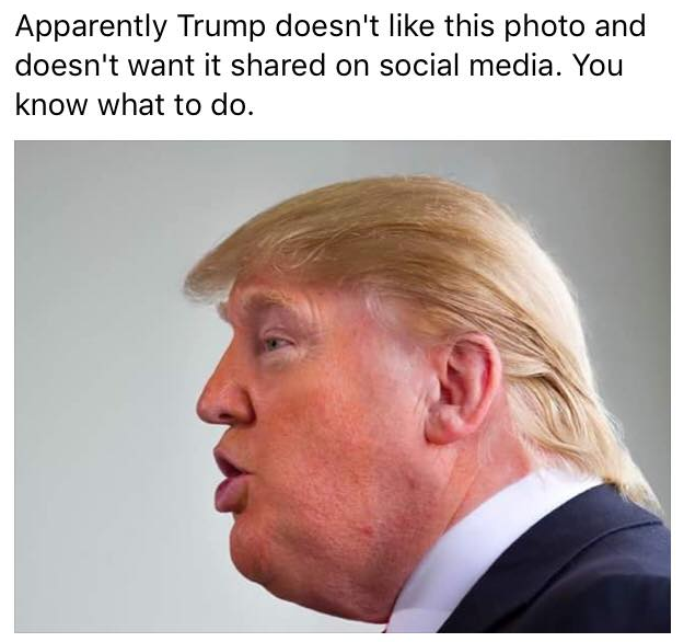 Anonymous tweet media