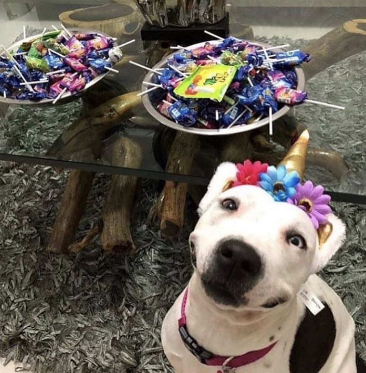 How it started:              How its going: