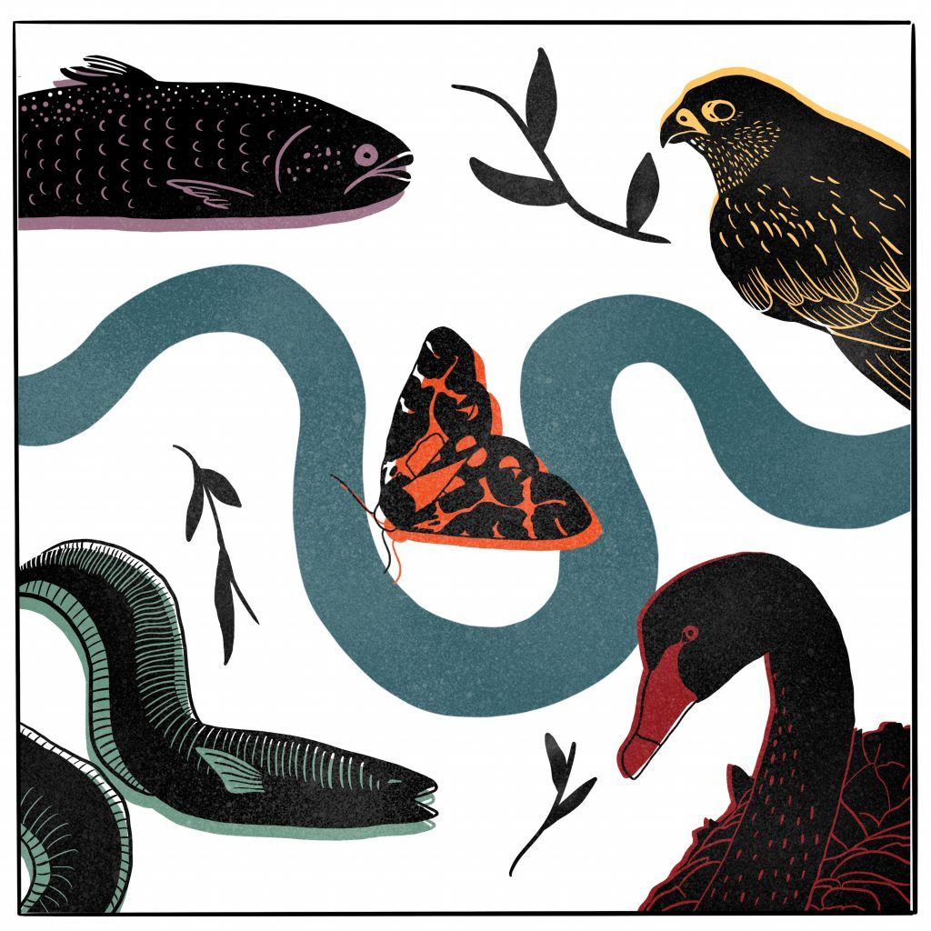 migrantsbureau's tweet photo. As part of the #LearningFromArchitecture programme, @hollycampbelll has designed an activity engaging with Canary Wharf's biodiversity. Put on your animal eyes and design an invention to increase animal #biodiversity in #urbanspace.

https://t.co/2ksUaBH3vL https://t.co/AryJz0dGah