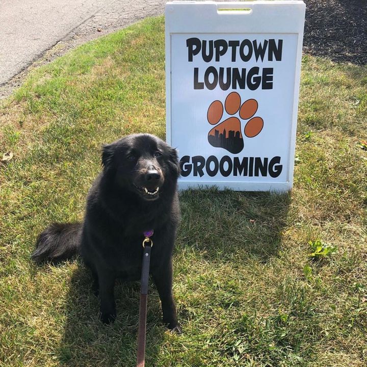 Upper Arlington Community Foundation tweet media