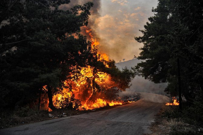 TheSyriaCmpgn's tweet photo. Our hearts go out to communities that have lost their shelter and livelihoods due to massive forest fires in Latakia, Tartus and Homs over the last few days. Farmers have witnessed their olive groves and agricultural crops go up in smoke just days before the harvesting season https://t.co/h6YHkgc1Ne