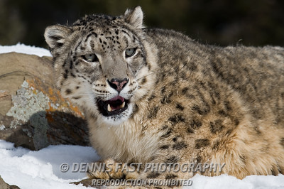 SnepBot's tweet image. MOW