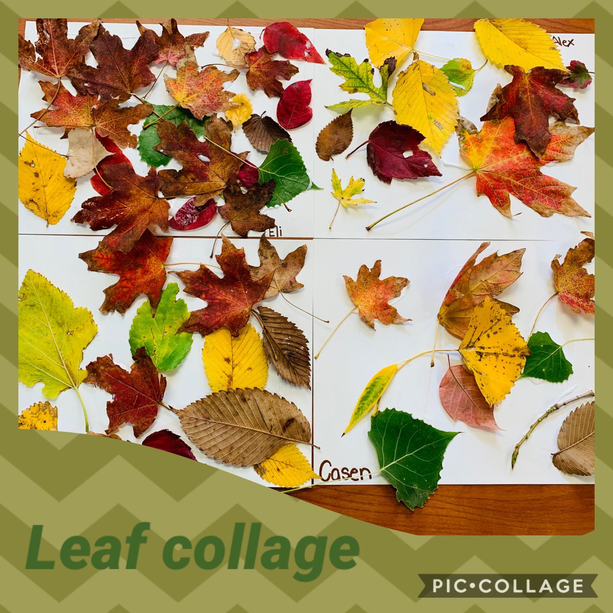 AMNIGRILA tweet media