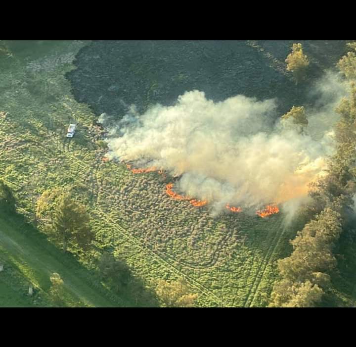 BomberosMonte's tweet photo. El dia 11/10 se acudió a sofocar un incendio forestal a la Estancia La Laguna. Intervinieron un total de 4 dotaciones sofocando el fuego que se inició a las 12:05 con regreso al cuartel central a las 21 hs

Dotaciones a cargo del  2do Jefe Francisco Gutiérrez https://t.co/efdXdz0H1r