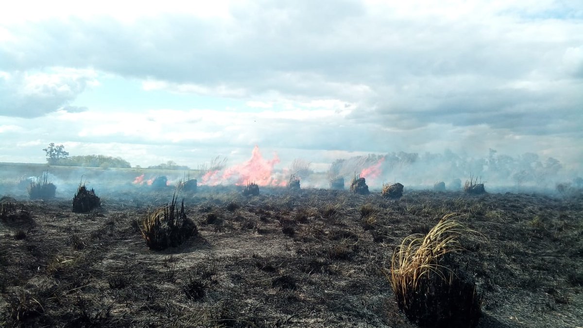 BomberosMonte's tweet photo. El dia 11/10 se acudió a sofocar un incendio forestal a la Estancia La Laguna. Intervinieron un total de 4 dotaciones sofocando el fuego que se inició a las 12:05 con regreso al cuartel central a las 21 hs

Dotaciones a cargo del  2do Jefe Francisco Gutiérrez https://t.co/efdXdz0H1r