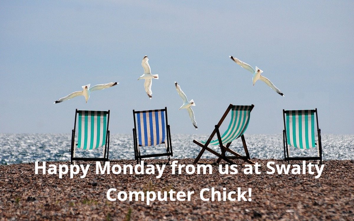 🌴☀️ Swalty Computer Chick tweet media