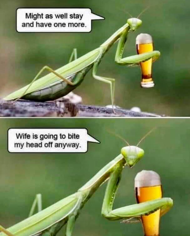 #MondayVibes #JustForLaughs #lightenthemood