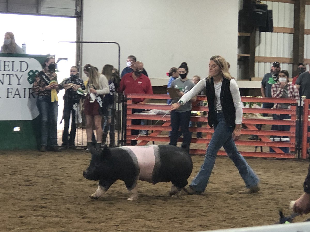 FUHS_Mrs_K's tweet photo. Swine show is underway! Good luck to all exhibitors! 🐖🐖#FalconPride #FUffa #fcf2020 https://t.co/QntpW0irH0
