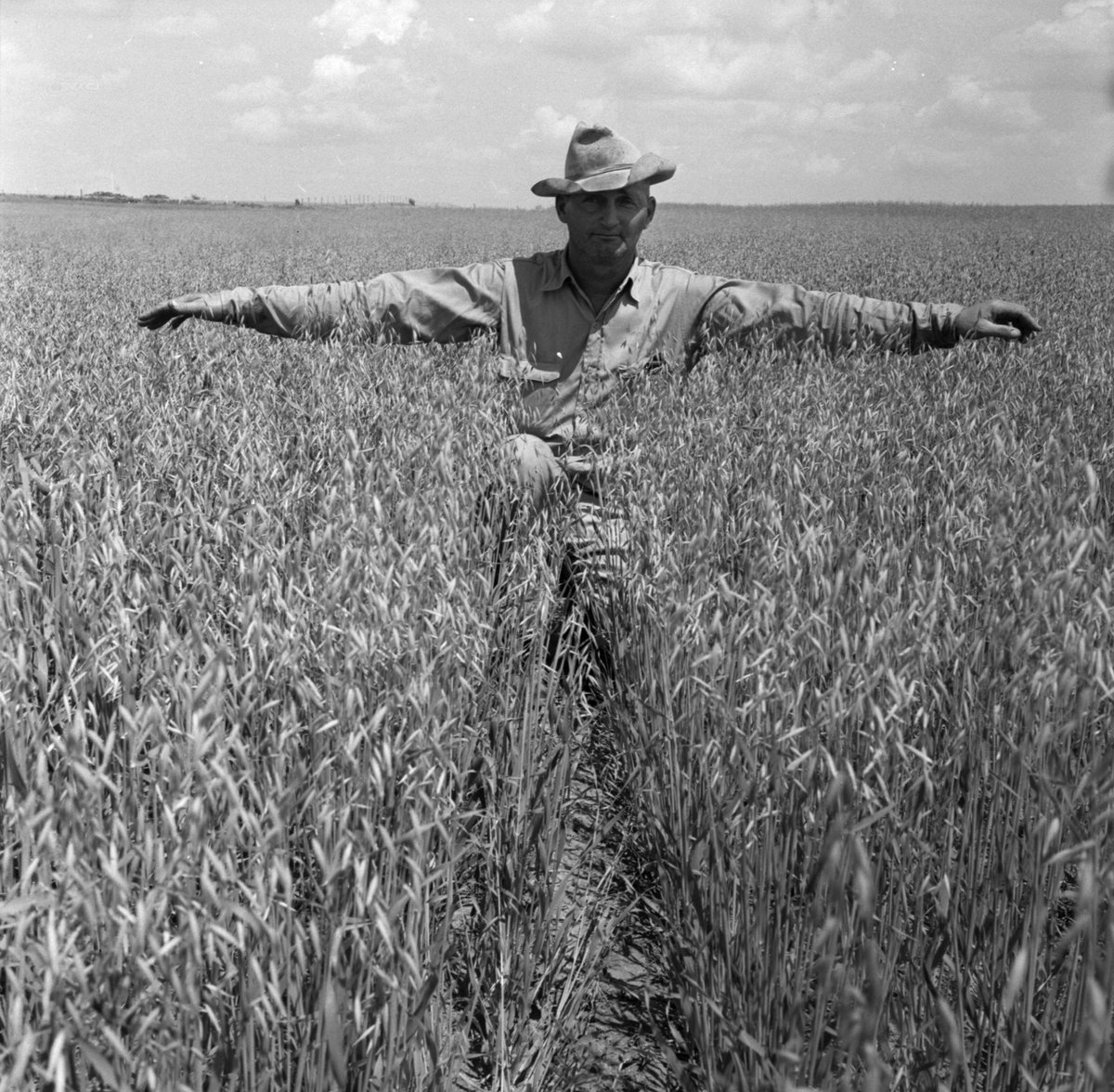 MFA_Inc's tweet photo. “Agriculture is our wisest pursuit, because it will in the end contribute most to real wealth, good morals, and happiness.” — Thomas Jefferson 

Happy National Farmers Day! https://t.co/3O8ptBgYwp