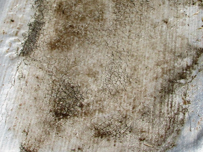 WHAT IS ROOF CROCODILING AND HOW DOES IT AFFECT YOUR FLAT ROOF?

 - Flat roof waterproofing looking like crocodile skin.  #concreteroof #flatroof #moisturedamage #moistureinspections #roofdamage #roofdrainage #roofinspection #roofleak #roofmaintenance #Wat inspectorhomes.co.za/waterproofing/