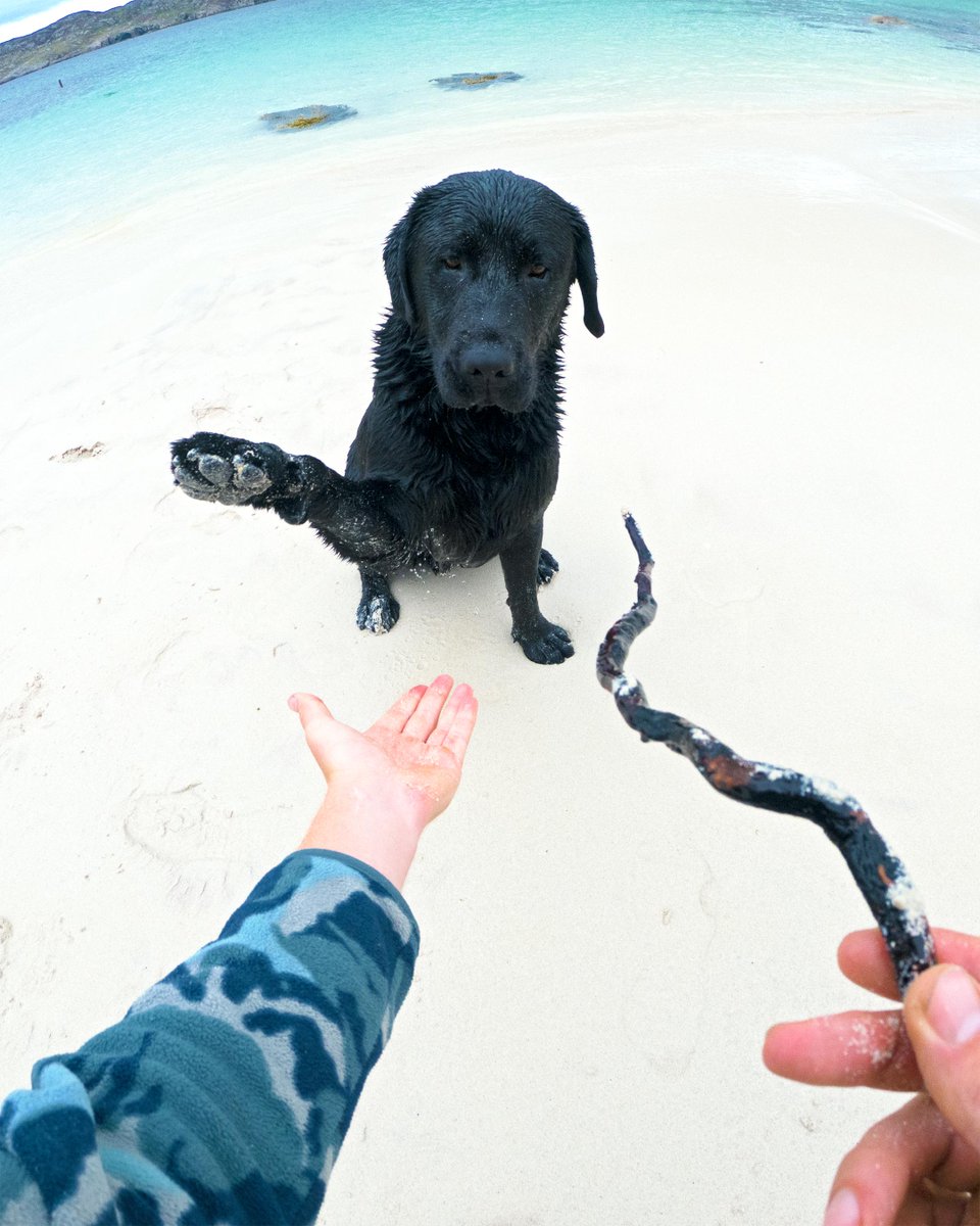 GoProUK's tweet image. Man’s best friend? @ScottyLaughland experimenting with his #GoProHERO9 Black 📸 

#MoreEverything