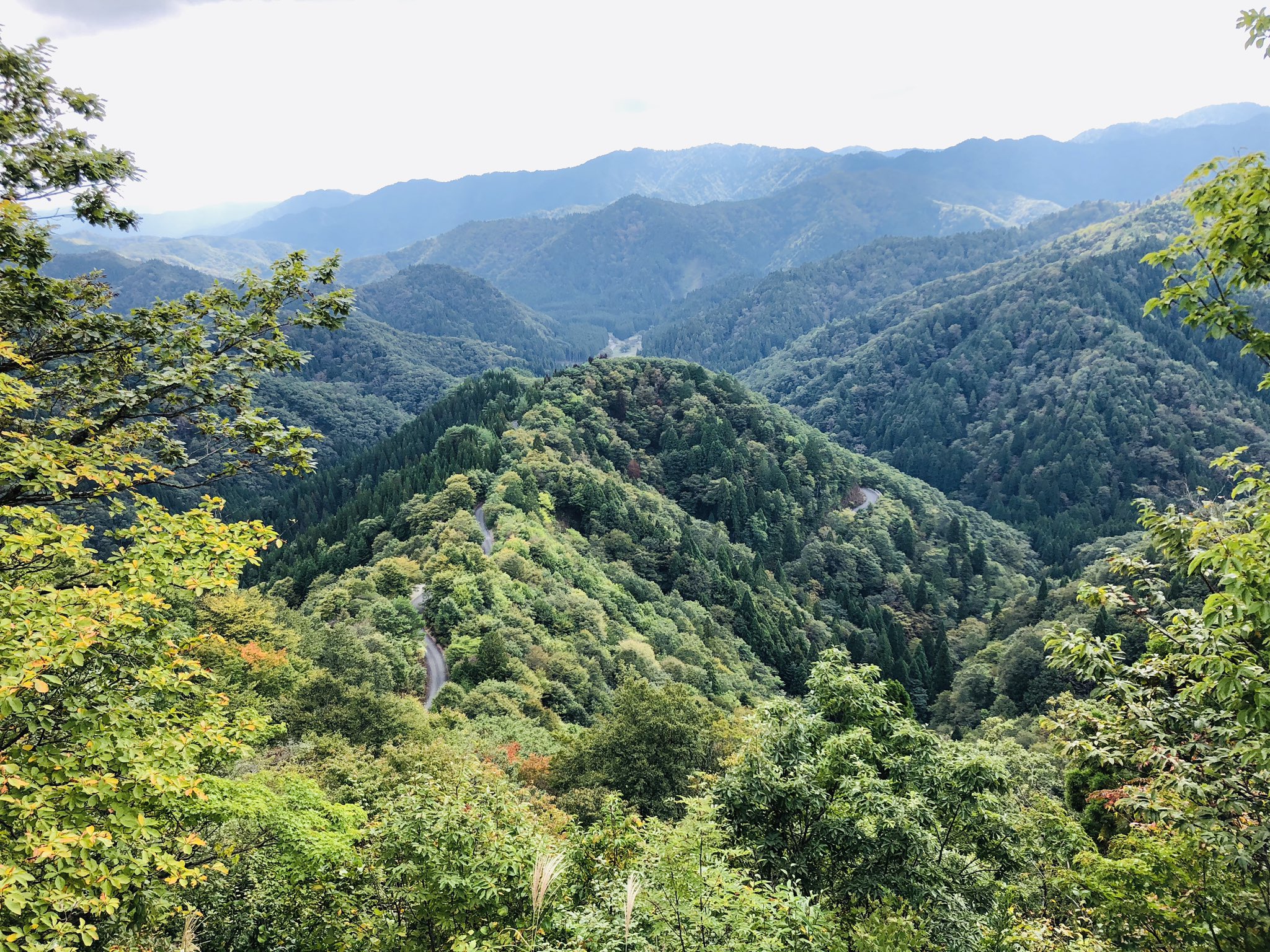 はな 迷ったら楽しい方へ おにゅう峠 紅葉はまだ早かったけど 雨の後で山が綺麗だった おにゅう峠 滋賀県 福井県 鯖街道 ドライブ T Co Etflstwrvt Twitter