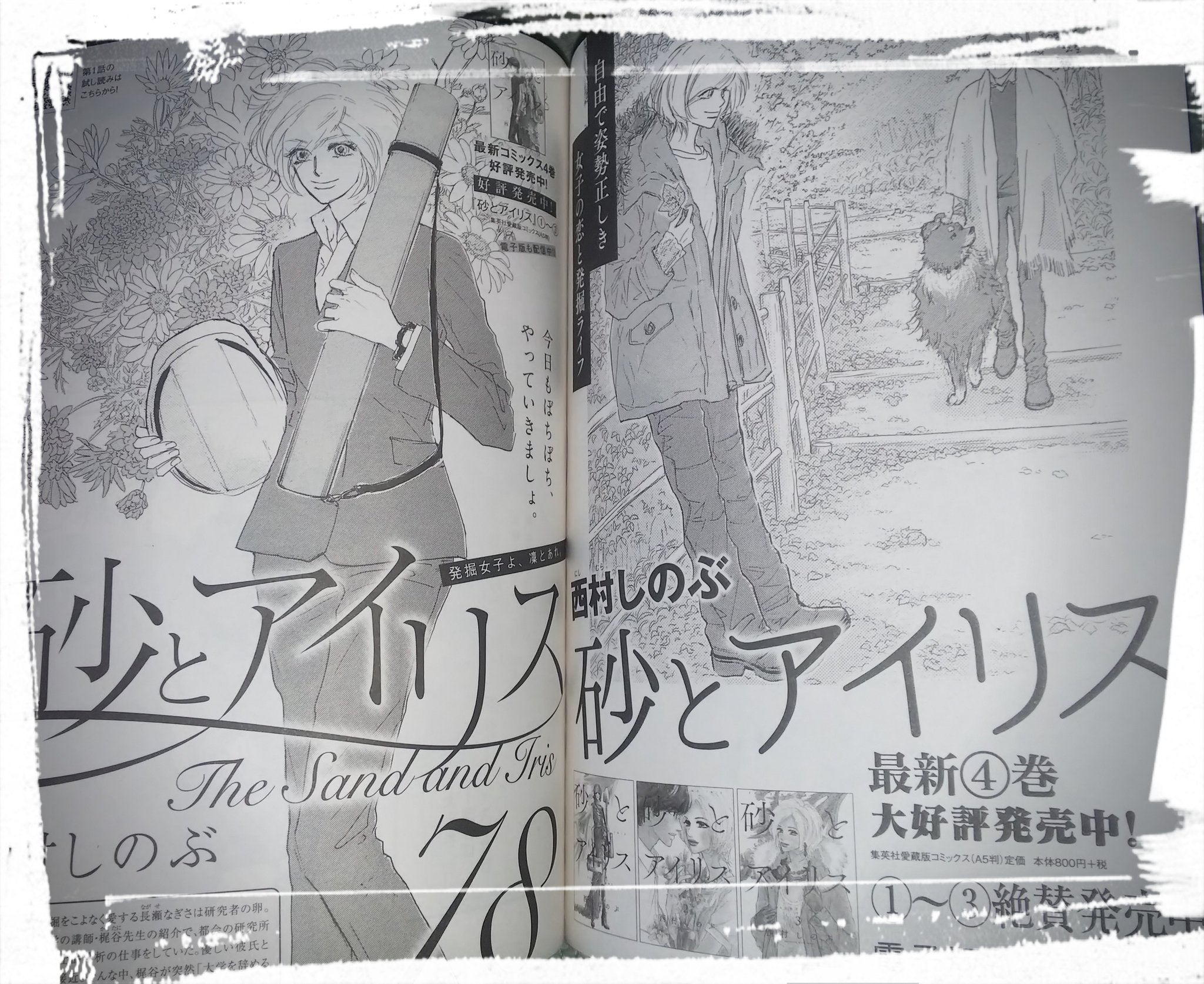 わだん Dawanch No 月刊誌に数ページ 毎月載ってるとは限らないし 西村先生 もっと仕事してー あっ でも怪我されたこともあるし お身体大事に 西村しのぶ 砂とアイリス ココハナ T Co Dwaj9lwj51 Twitter