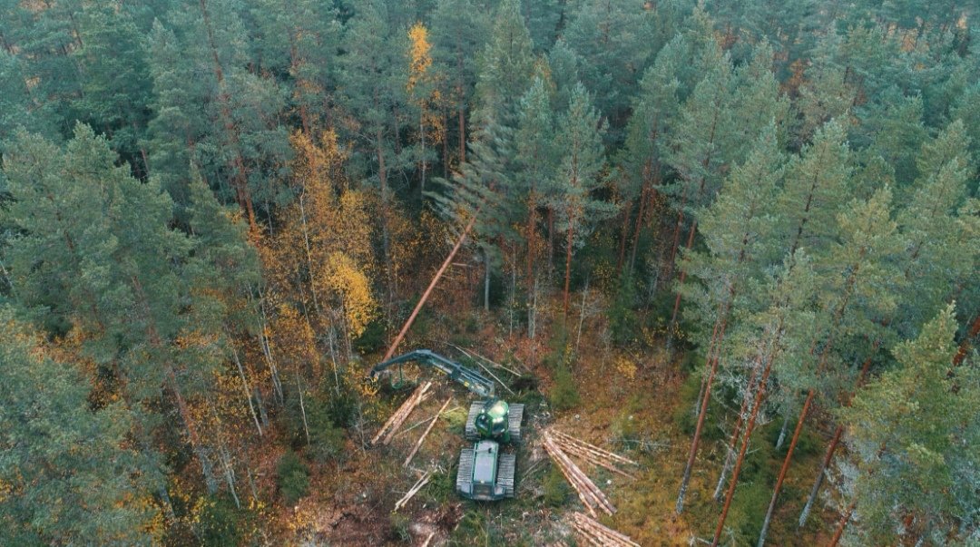 M_Toikka's tweet photo. Viime viikolla @LukeFinland kaistalehakkuukoe rämemännikössä Kymenlaaksossa. Lisää tutkimustietoa suometsien käsittelymenetelmistä tarvitaan. Tulevina vuosina nähdään kuinka tämän kohteen kaistaleiden taimettuminen onnistuu. #metsä #metsätalous https://t.co/qiXxBlgef7