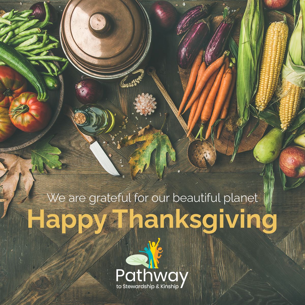 PathwayProject_'s tweet photo. Happy Thanksgiving, #pathwayexplorers! We hope you get a chance to admire and enjoy the outdoors today π https://t.co/cRSCQkr0ZO