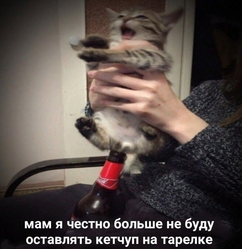 EkIJDkGWsAItCXr?format=png&name=900x900