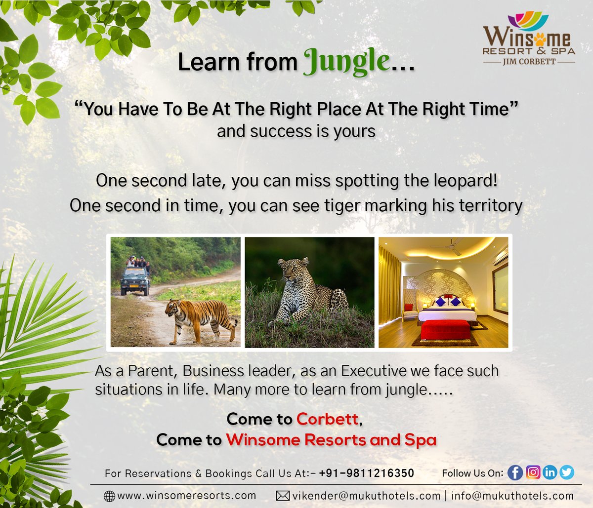 Learn from Jungle.......
"You Have To Be At The Right Place At The Right Time" and success is yours.
Come to Corbett, come to Winsome Resorts and Spa.
Contact Us:- +91-9811216350
#junglesafari #corbettview #wildlifelovers #natureview #travellers #wildlifephotography #resorts https://t.co/2aW5GfyX4O
