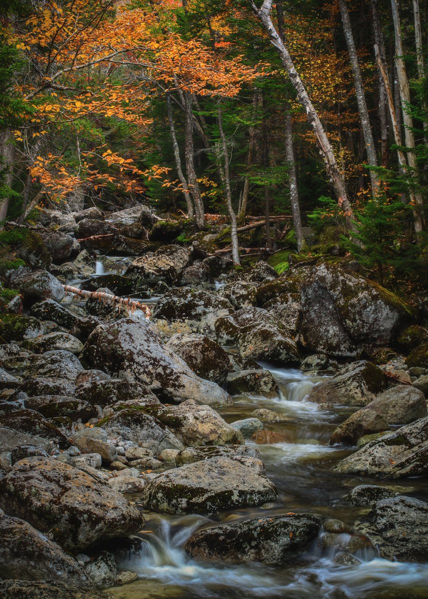 outsidebadly's tweet photo. One of the thousand of streams in the Adirondacks. 
The colors of Autumn were in full effect during my stay in region.

#adirondacks #photography #canonfavpic #induropushfurther #autumn #fall #fallcolours #landscapephotography #landscapelovers https://t.co/7wMTkaeub6