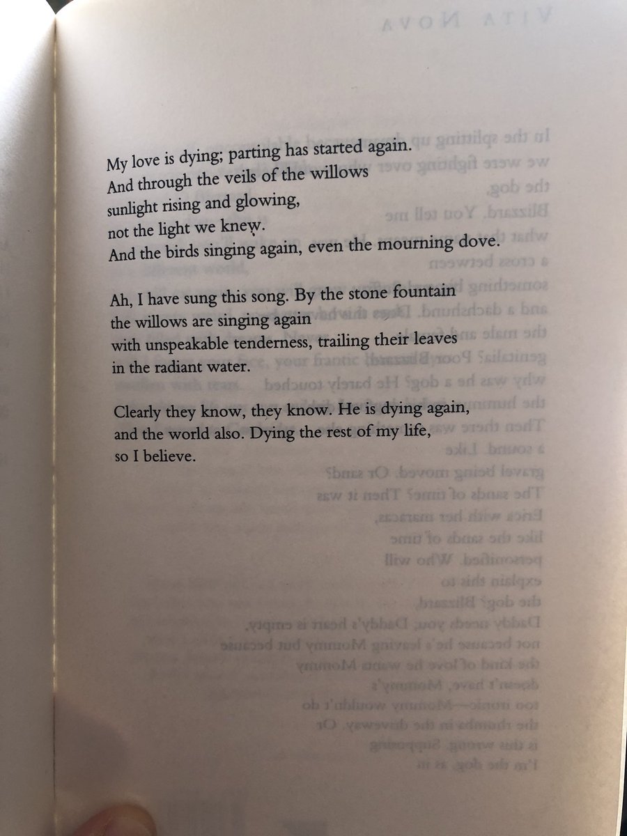 CarolineBirdUK's tweet photo. ‘Once is enough to say goodbye forever’

- Louise Glück https://t.co/zlPkyPwIZK
