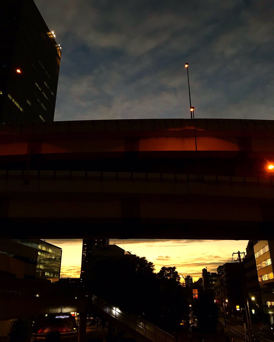 hojaluna's tweet image. 黄金色に染まった今日の夕空🌆
#hellomonday #hellonewweek #changingcolors #goldsky #sunsetglow #view #basketballcafe #balltongue #t13 #木場 #tokyoeastside #sky #skyview #sunset #sunsetsky #clouds #eveningsky #beautifulsky #scenery #skycolors #naturecolors #pic #photography