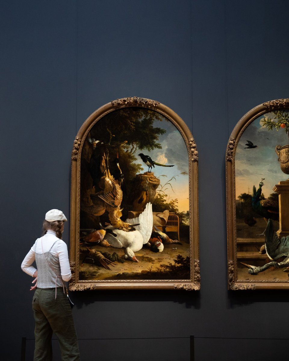 Try to look at this beautiful painting from the perspective of the magpie on the right. Maybe you’ll understand why this work by Melchior d’Hondecoeter is known as The Contemplative Magpie… 🐦

🖼️ rijksmuseum.nl/en/collection/…