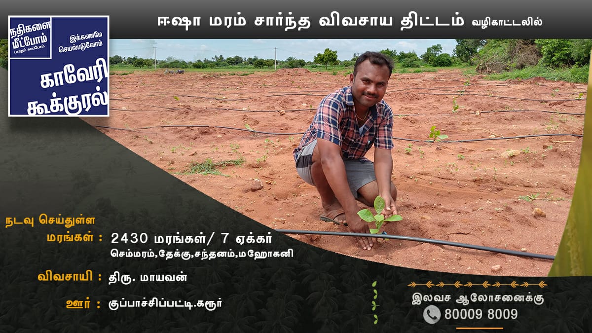 rallyforrivers's tweet photo. #காவிரிகூக்குரல் திட்டத்தின் மூலம் #ஈஷாமரம்சார்ந்தவிவசாயதிட்டம் வழிகாட்டலில் கரூர் மாவட்டம் குப்பாச்சிப்பட்டி கிராமத்தைச் சேர்ந்த திரு. மாயவன் அவர்கள் தனது 7 ஏக்கர் தோட்டத்தில் செம்மரம், தேக்கு, சந்தனம், மஹோகனி போன்ற பலவகையான 2430 மரக்கன்றுகளை நட்டுள்ளார்.

📞 80009 80009 https://t.co/9vDB97LXcH