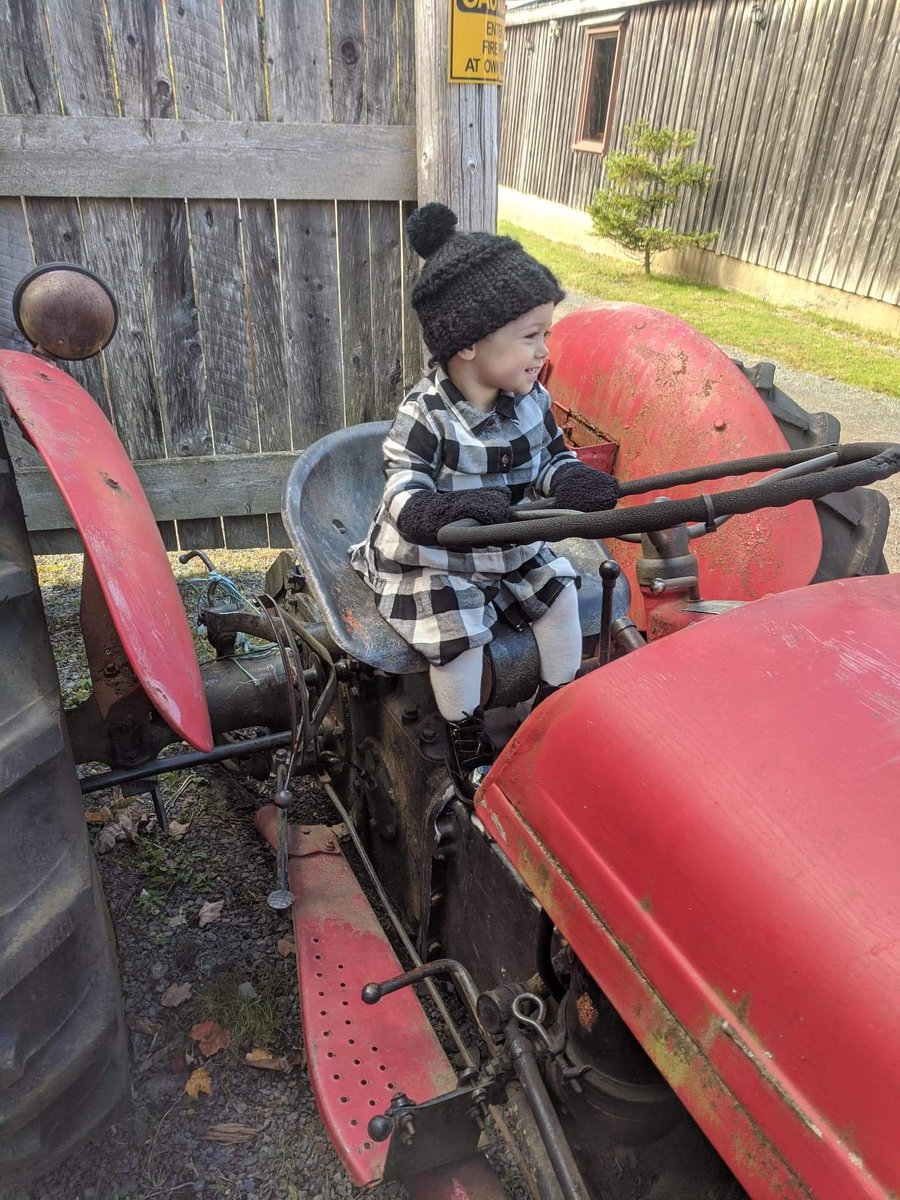 Halifaxhomefind's tweet photo. Maybe a new poster Child for Hatfield farm? #bragmuch #hatfieldfarm #grandbabiesarethebest https://t.co/1myScU9iA9