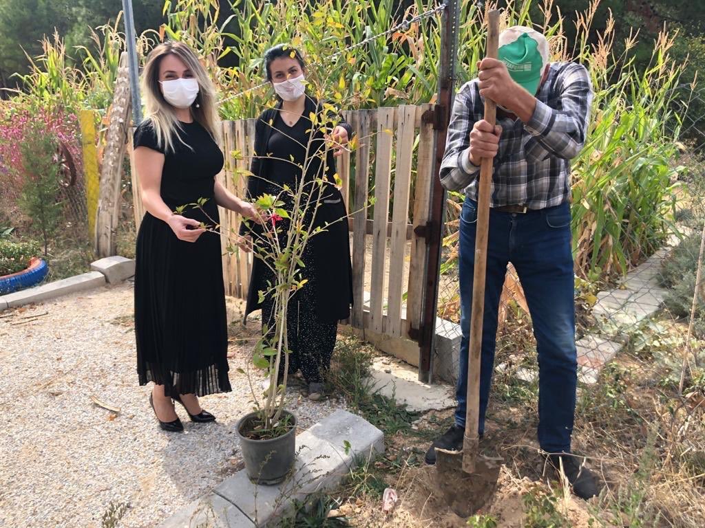 #Öğretmenimdoğayadanefesol