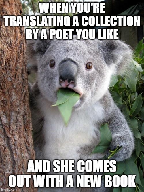 action__books's tweet photo. A #TranslationMeme by Hedgie Choi
#Translate #Translators #Memes #Poets #Poetry
https://t.co/uEkeg4yzek https://t.co/nNCYJhrN9A