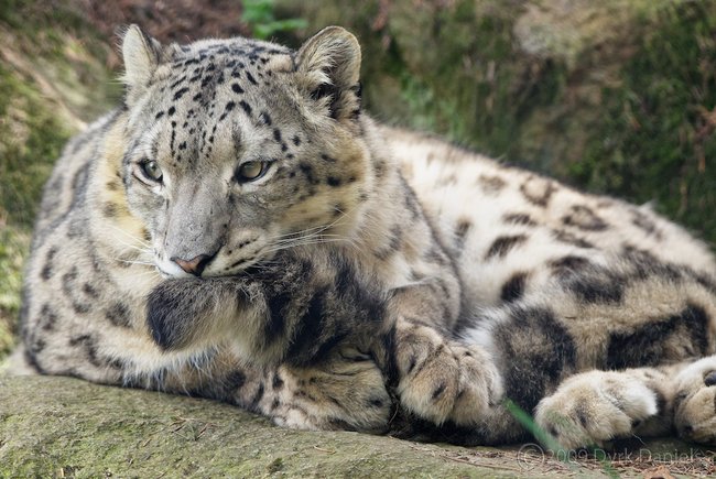 SnepBot's tweet image. *WIGGLE*