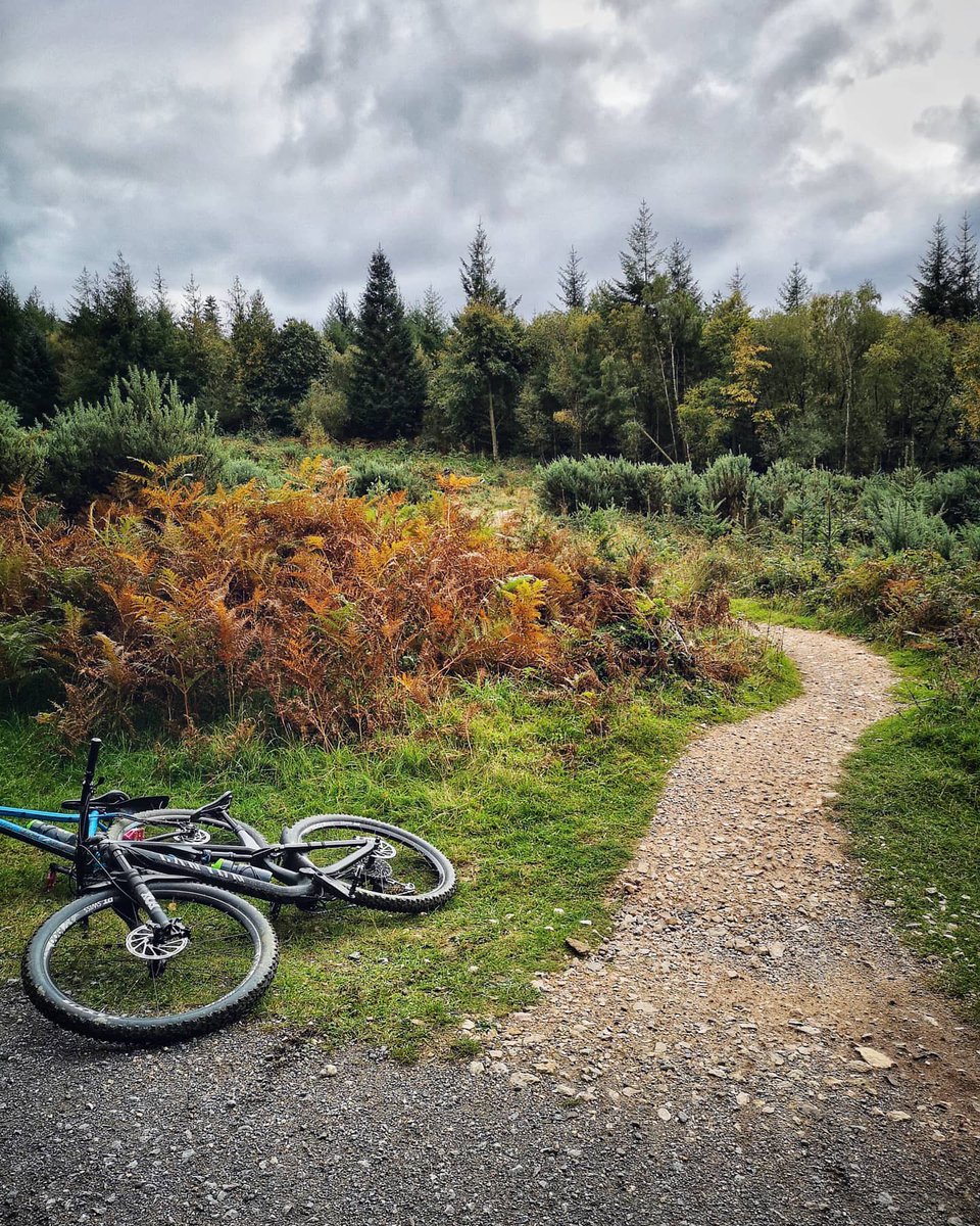 Winding trails and Autumn colours at @haldonforestpark over the weekend 🌲🍂🍃
-
-
#MuckyNutz #MountainBike #MountainBiking #Fenders #Mudguard #Bike #MTB #Cycle #Cycling #Fitness #MTBLife #BikeRide #Canyon #CanyonBikes #HaldonForest #Forest #MTBTrails #Autumn #Fall #Weekend