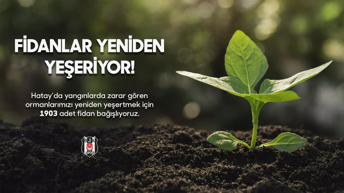 🌱 Hatay için el ele!

Yangınlarda zarar gören ormanlarımızı yeşertmek için 1903 adet fidan bağışlayarak <a href="/GalatasaraySK/">Galatasaray SK</a>'a meydan okuyoruz.