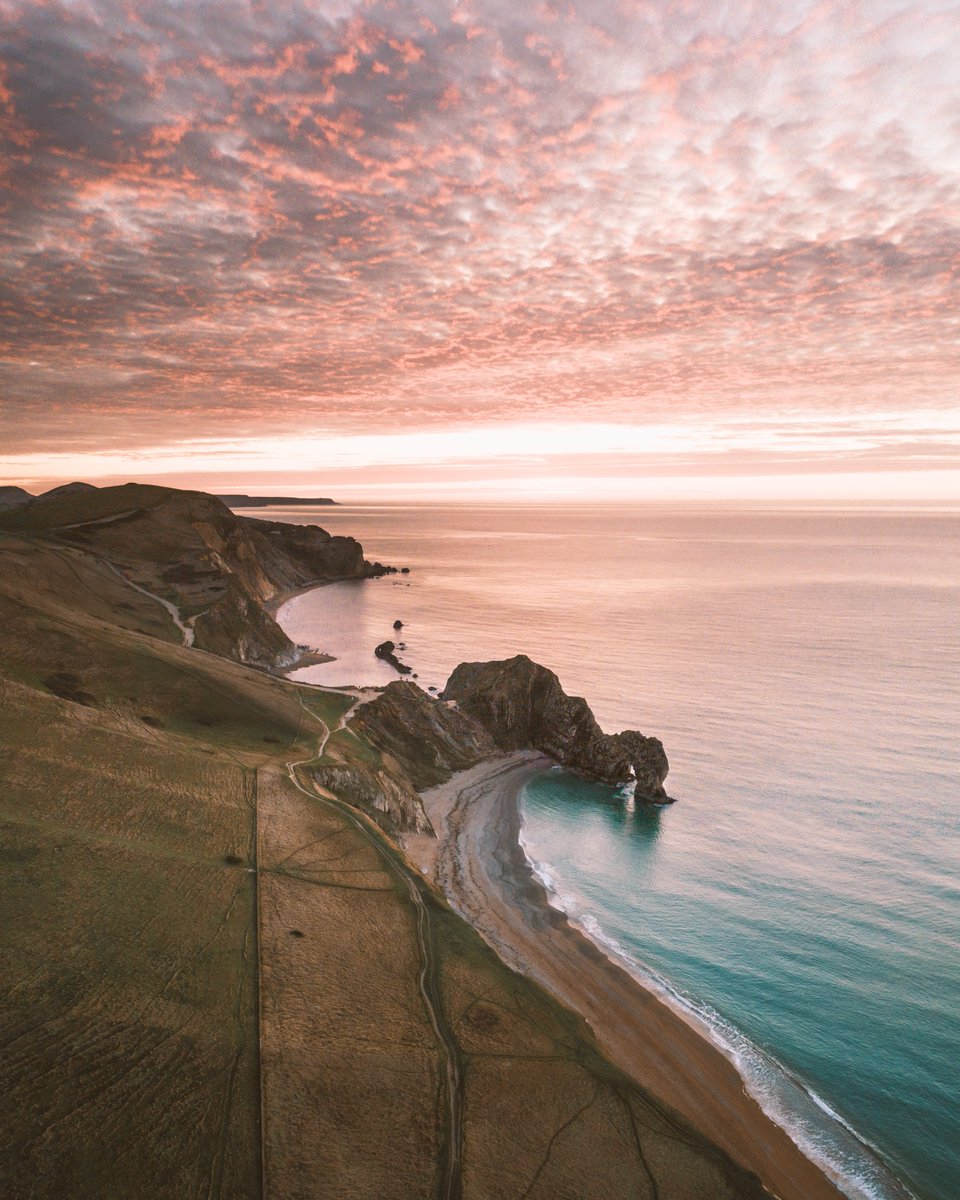 SimonAllenPhotograph tweet media