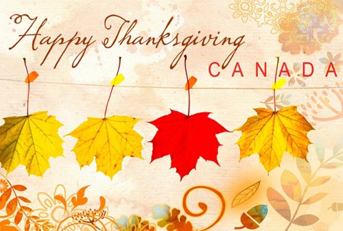 MotorMaids's tweet photo. Happy Thanksgiving!  Wishing you a day filled with friends and family and that all your people are safe and healthy https://t.co/o3oFkfI1bU