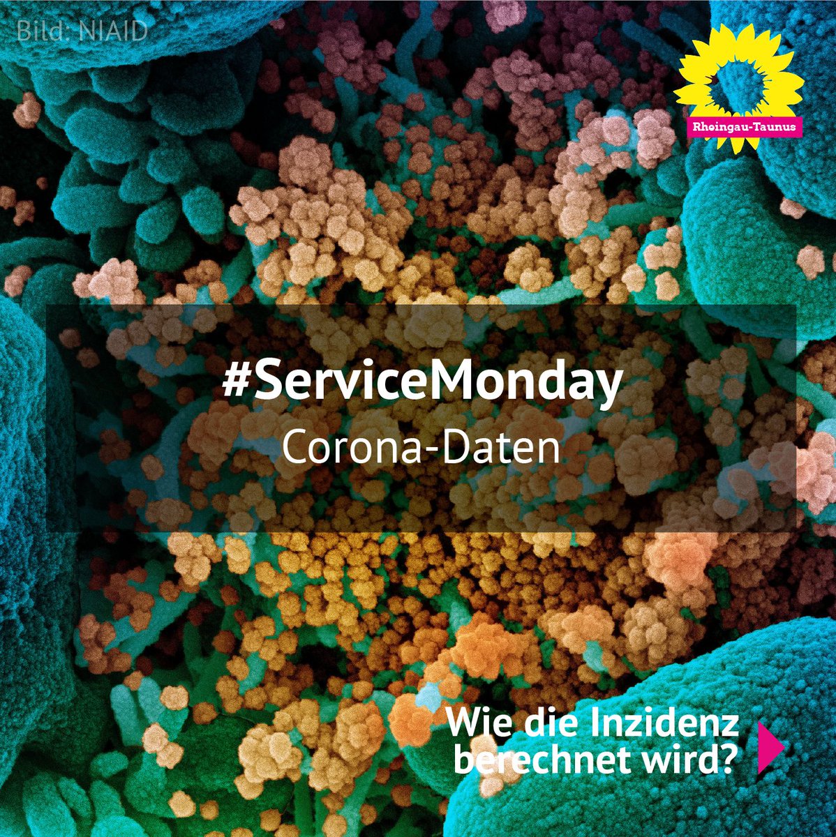 Gruene_RTK's tweet photo. Inzidenz? Was war das noch gleich? #Corona
Wir haben es euch mal veranschaulicht und die aktuelle Inzidenz fΓΌr den Rheingau-Taunus-Kreis berechnet. #ServiceMonday https://t.co/XWPWIp1Fiu