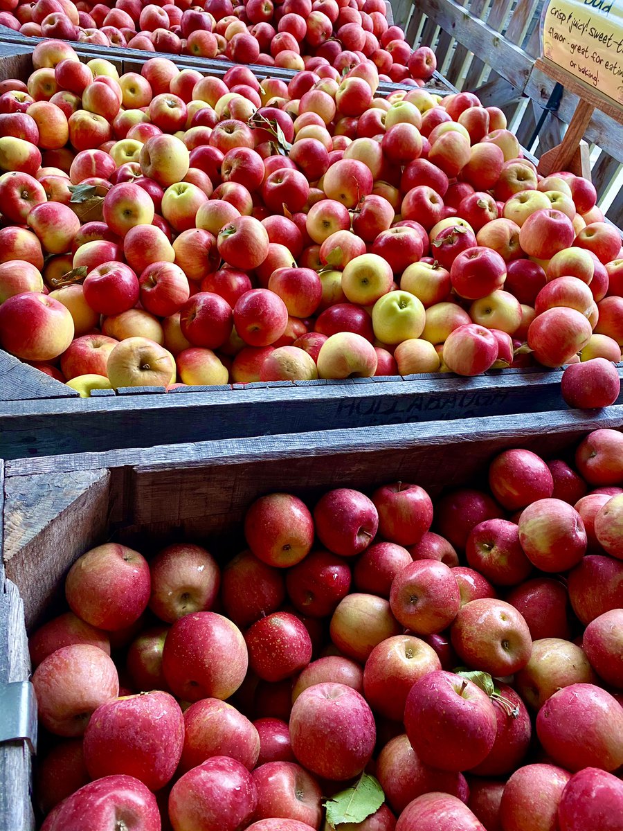 ColonelKettle's tweet photo. Apple season means fresh, homemade caramel apples!  We will have those too! 👍🏼🍎🍏 https://t.co/XUf4g5REXh
