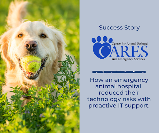 Springboard IT tweet media