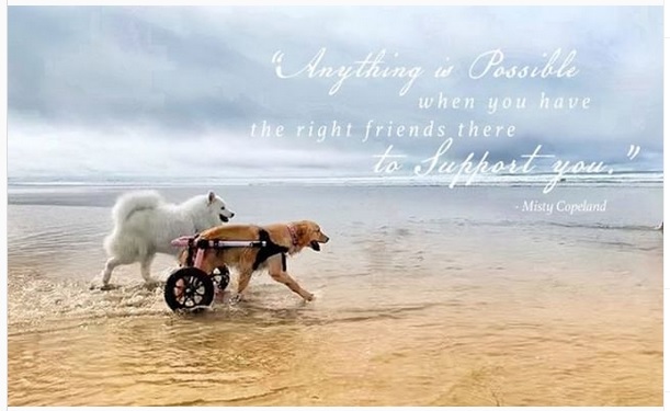 OMAPittsburgh's tweet photo. Remember, anything is possible with the proper support. Who can you lend support to today? via @WalkinPets #MondayMotivation #StayPositive #BestFriends #OMAPittsburgh #HolisticEducation #OMAPgh #community #HelpingOthers #FamilyMatters #Spirituality #SpreadLove #LendSupport https://t.co/ghpD2lSmhA