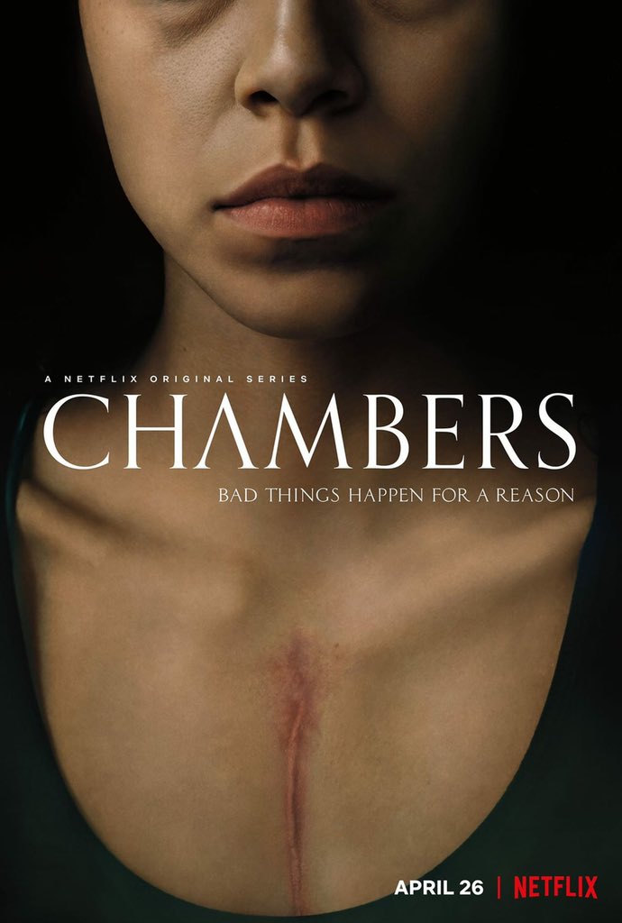 5. Chambers (2019)I love this show. It’s a teen horror series and features Sivan Alyra Rose, the first Native American woman to lead a television series.