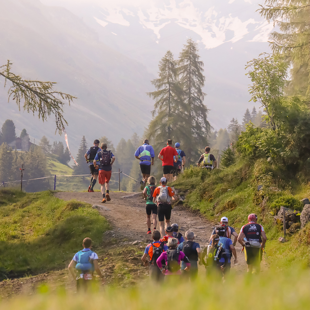 swissalpine_'s tweet image. Ab Donnerstag Morgen kannst du dich für den 36. Swissalpine, 23. - 25.07.2021, in Davos anmelden. 

From Thursday morning you can register for the 36th Swissalpine, 23 - 25.07.2021, in Davos. 

 #swissalpinedavos #davosklosters  #trailrunning   #hike #berglauf #onrunning  #migros