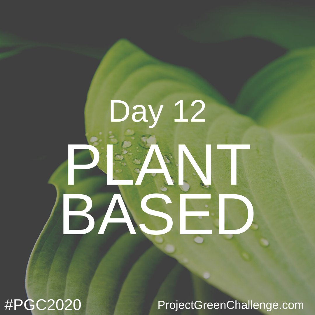 TurningGreenOrg's tweet image. Welcome to Day 12 of #ProjectGreenChallenge Today we&apos;ll explore the theme #PLANTBASED with partners @RWGarciaSnacks and @MeatlessMonday! 
Our values are served up on our plates every time we eat. So how can we eat in a way that respects the planet? Let&apos;s find out #PGC2020