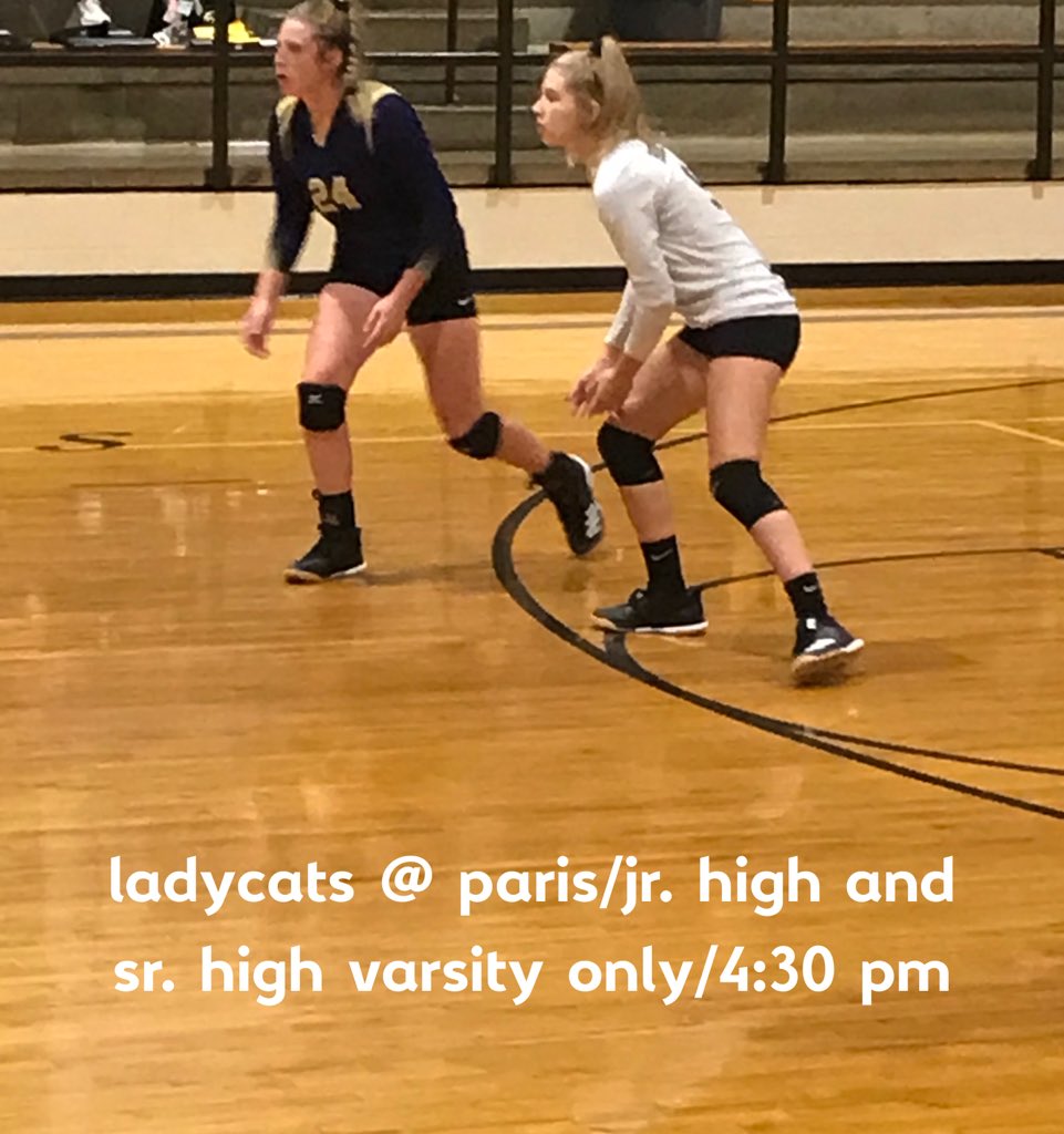 Bearcat_Hoops5's tweet photo. #LadyCatVB heads to rival Paris for a 4:30 pm matchup. Jr High and Sr High varsity only. @BR_TimesRecord @ASTSprts https://t.co/cxuIqUbTkx